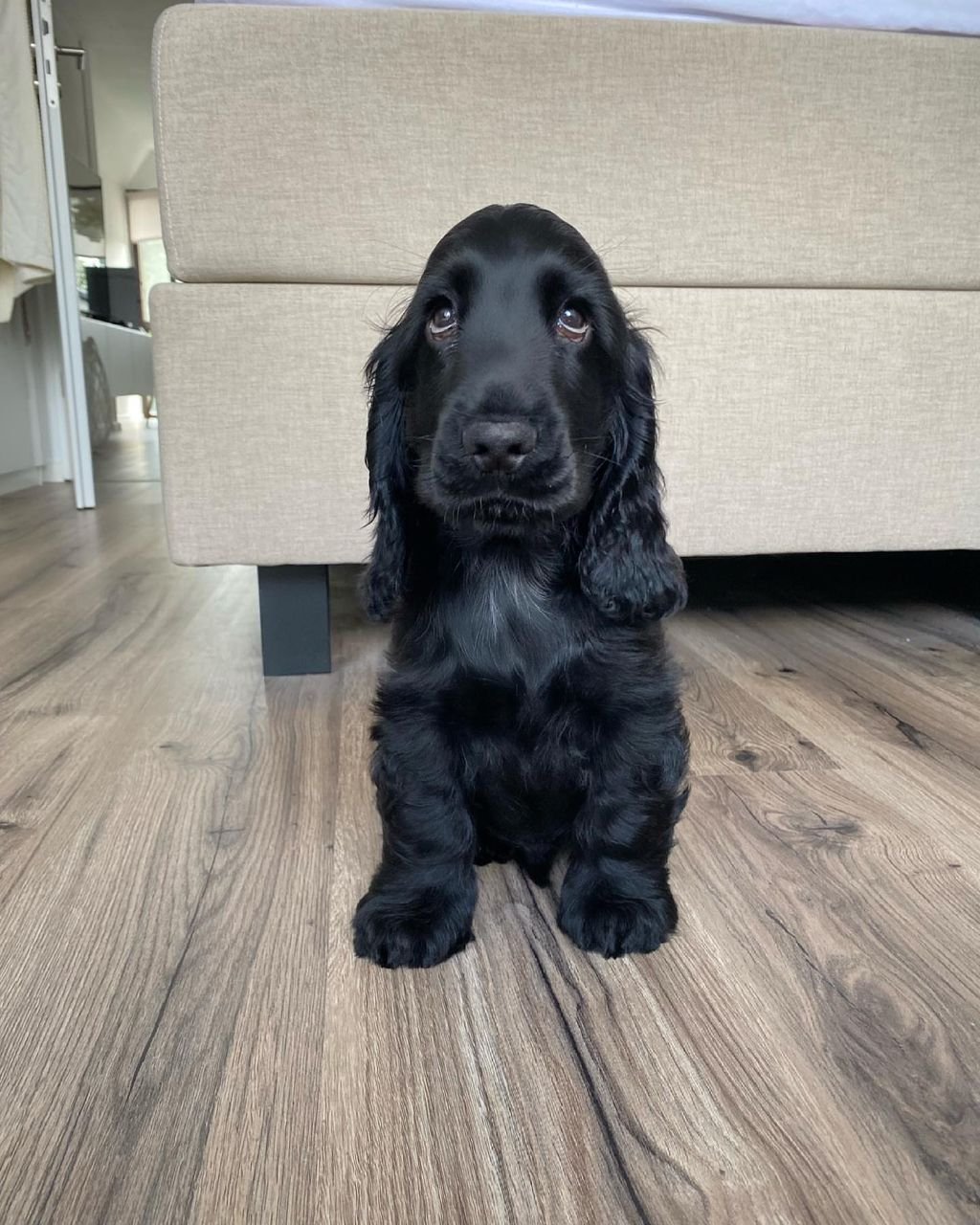 WhatsApp Image 2026-03-10 at 4.30.43 PM (2)