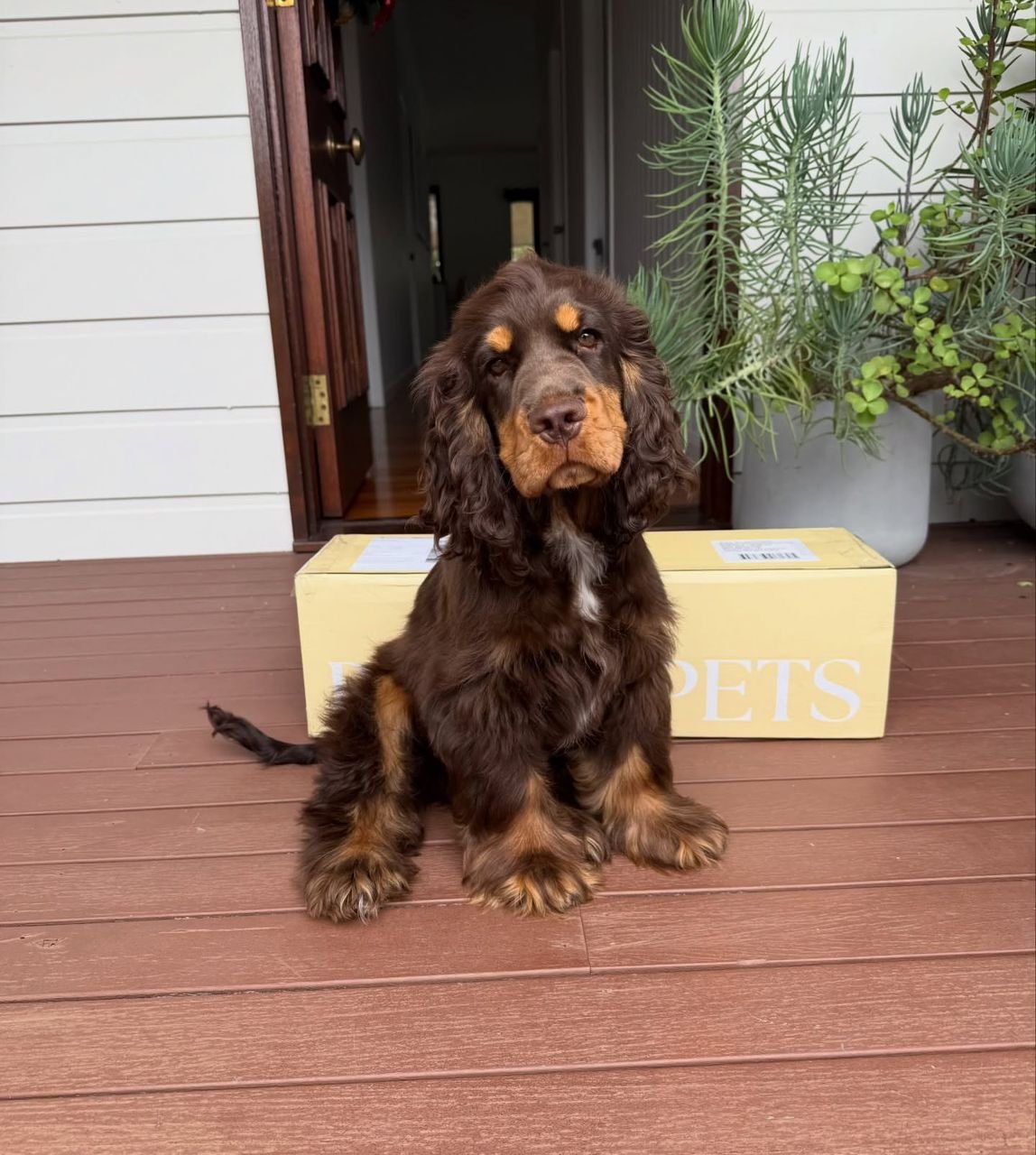 WhatsApp Image 2026-03-10 at 4.30.43 PM