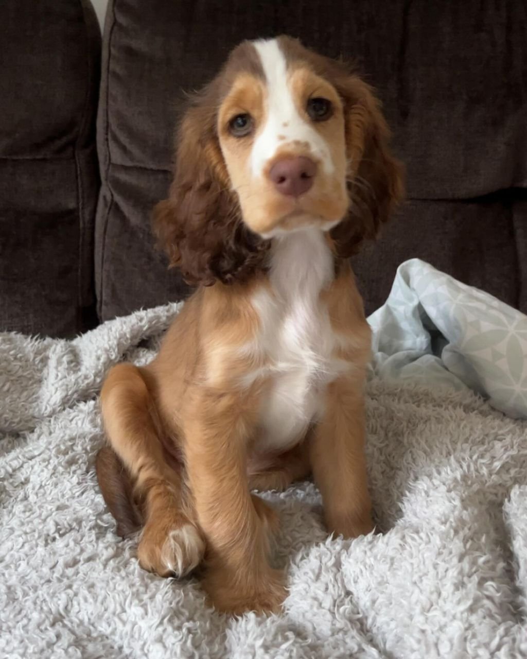 WhatsApp Image 2026-03-10 at 4.30.44 PM (1)