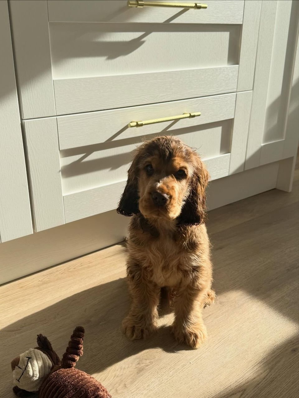 WhatsApp Image 2026-03-10 at 4.30.44 PM (2)