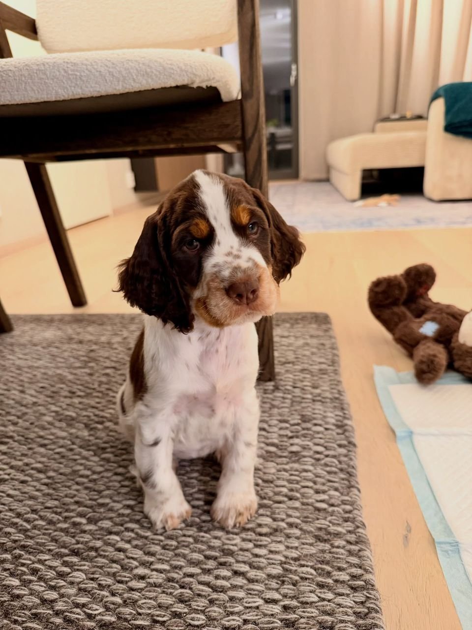 WhatsApp Image 2026-03-10 at 4.30.44 PM