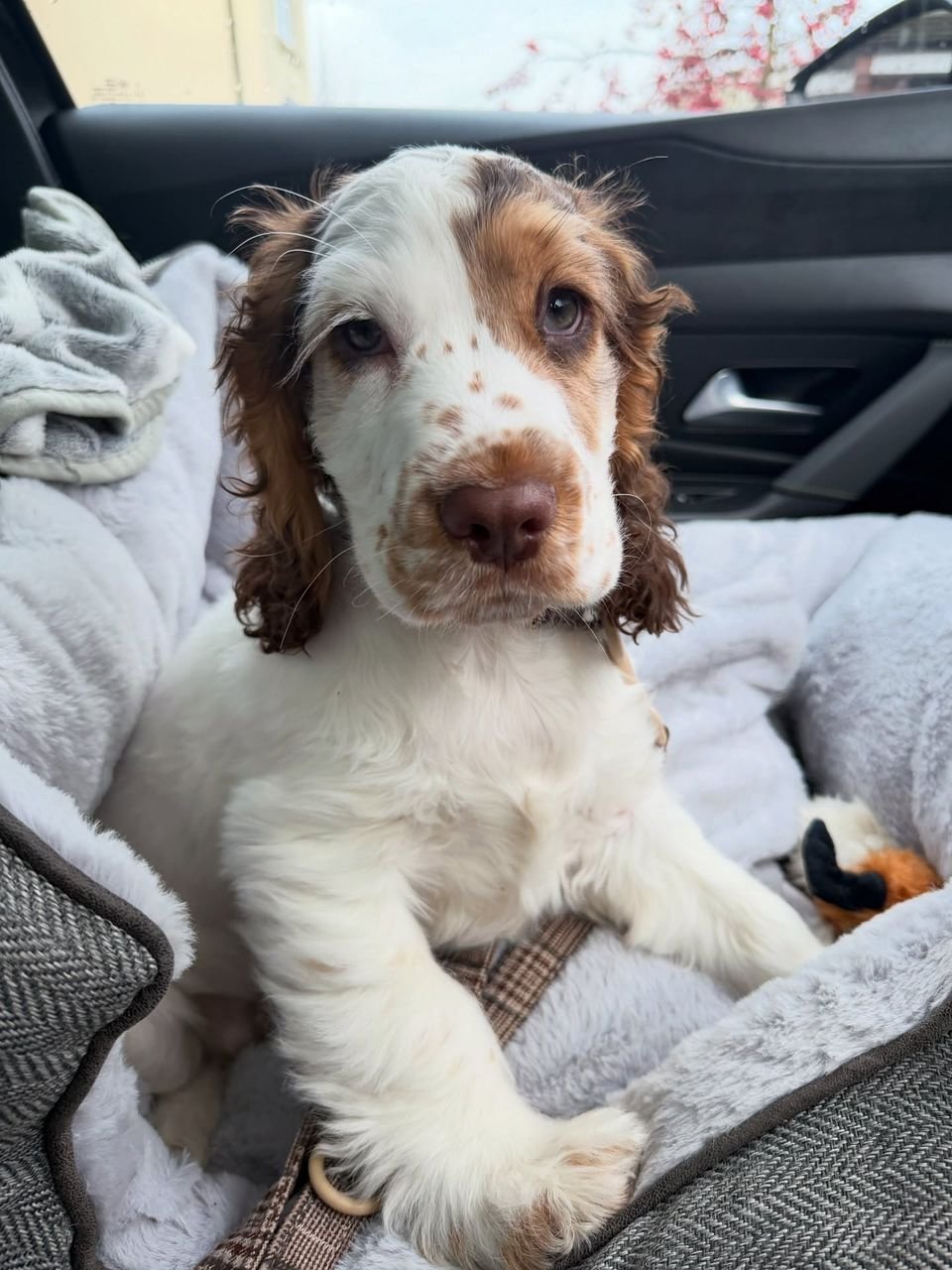 WhatsApp Image 2026-03-10 at 4.30.45 PM (1)