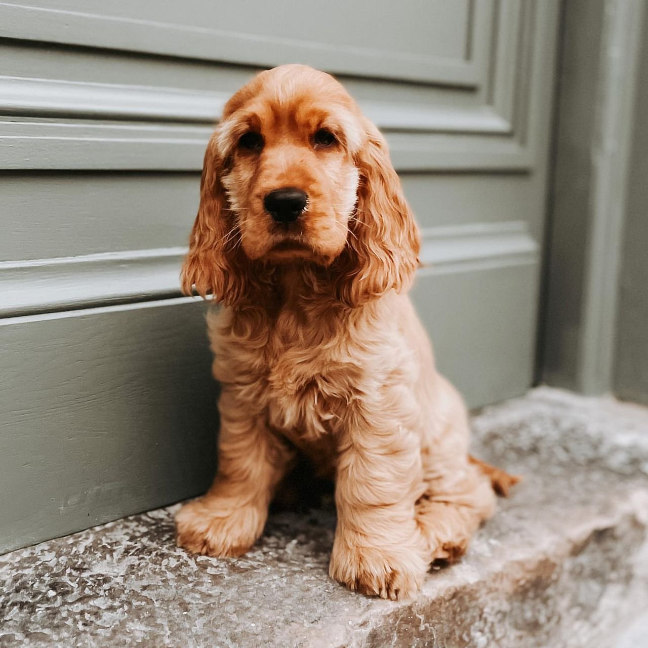 WhatsApp Image 2026-03-10 at 4.30.45 PM (2)