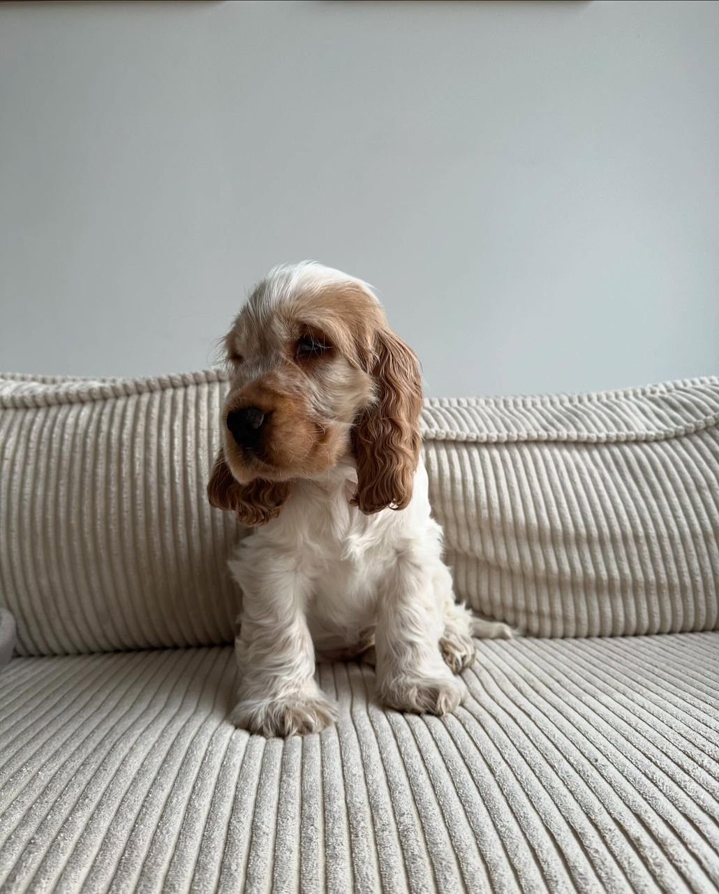 WhatsApp Image 2026-03-10 at 4.30.45 PM