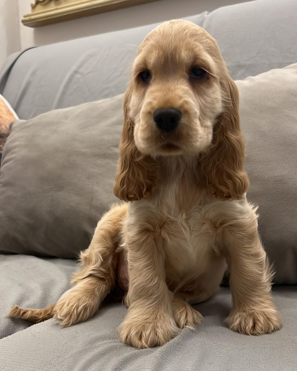 WhatsApp Image 2026-03-10 at 4.30.46 PM (2)