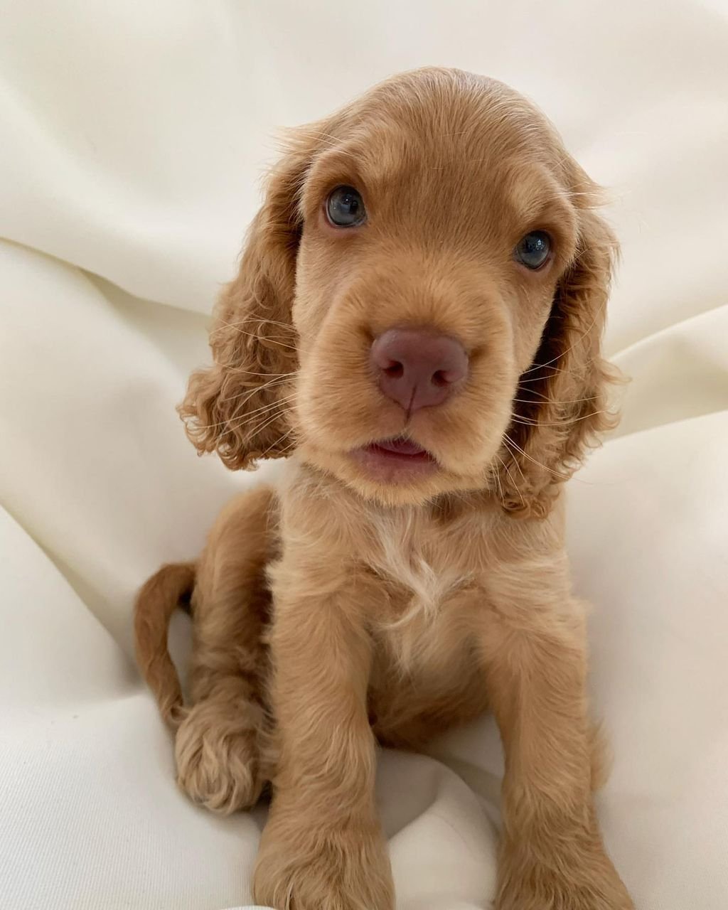 WhatsApp Image 2026-03-10 at 4.30.46 PM