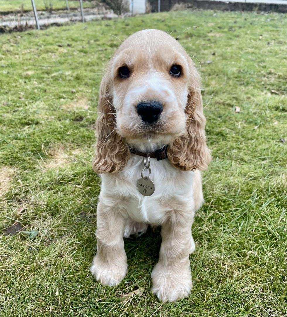 WhatsApp Image 2026-03-10 at 4.30.47 PM (1)