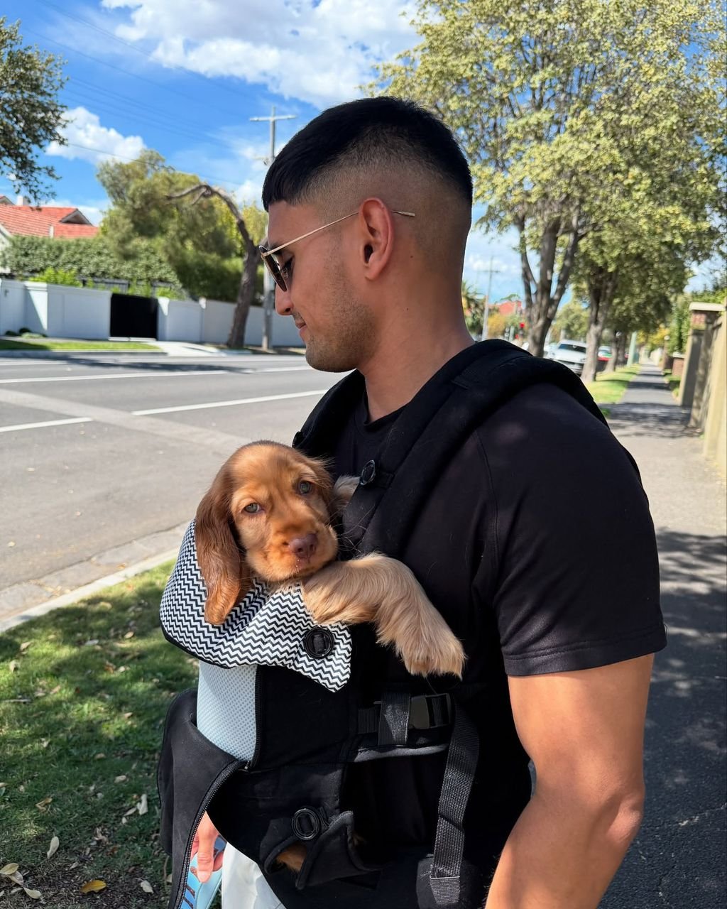 Happy Cocker Spaniel review 3