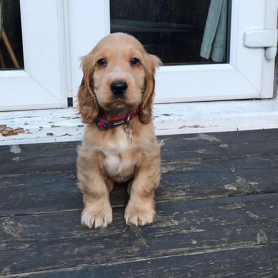 WhatsApp Image 2026-03-10 at 4.30.47 PM