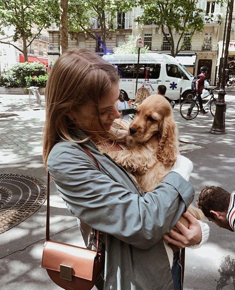 Happy Cocker Spaniel review 1