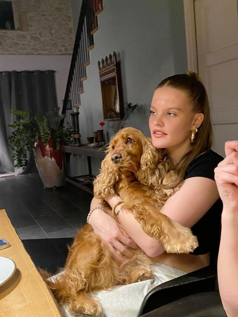 Happy Cocker Spaniel review 2