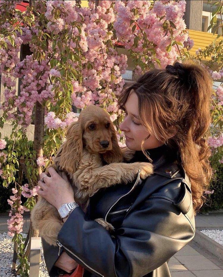 Happy Cocker Spaniel review 5